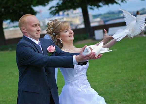 голуби на свадьбе фото
