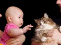 Кошка и новорожденный ребенок в одном доме