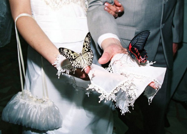 салют из бабочек на свадьбу