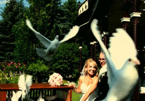 голуби на свадьбе