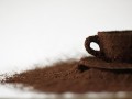 Сорта кофе и их классификация