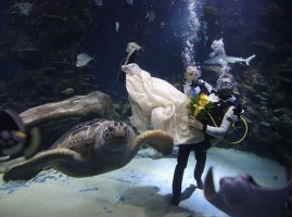 Свадебная подводная одиссея