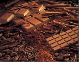 свойства шоколада