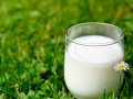 Что приготовить из молока – рецепты