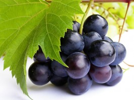Варенье из винограда