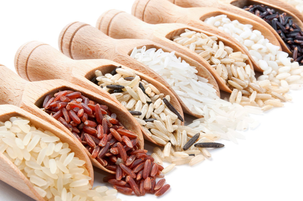 Виды и сорта риса