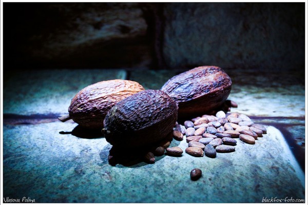 Музей истории шоколада и какао в Москве